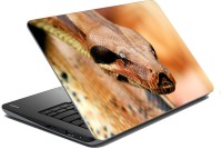 meSleep Wild Life 70-257 Vinyl Laptop Decal 15.6   Laptop Accessories  (meSleep)