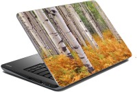 meSleep Nature 66-536 Vinyl Laptop Decal 15.6   Laptop Accessories  (meSleep)