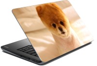 meSleep Dog 70-697 Vinyl Laptop Decal 15.6   Laptop Accessories  (meSleep)