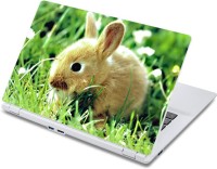 ezyPRNT The Mouse (13 to 13.9 inch) Vinyl Laptop Decal 13   Laptop Accessories  (ezyPRNT)