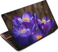 Finest Flower FL05 Vinyl Laptop Decal 15.6   Laptop Accessories  (Finest)