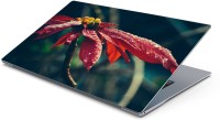 View Lovely Collection wet flower Vinyl Laptop Decal 15.6 Laptop Accessories Price Online(Lovely Collection)