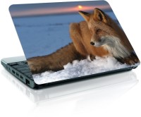 Shopmania Ice Fox Vinyl Laptop Decal 15.6   Laptop Accessories  (Shopmania)