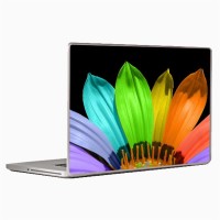 Theskinmantra All In One Beautiful Laptop Decal 14.1   Laptop Accessories  (Theskinmantra)