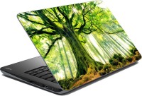 meSleep Nature LS-30-284 Vinyl Laptop Decal 15.6   Laptop Accessories  (meSleep)