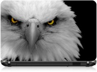 Box 18 Eagle Close Up1648 Vinyl Laptop Decal 15.6   Laptop Accessories  (Box 18)