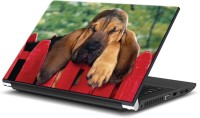 ezyPRNT No Time to Sleep Pet Animal () Vinyl Laptop Decal 15   Laptop Accessories  (ezyPRNT)