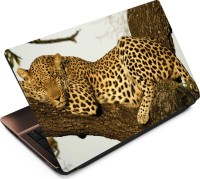 Anweshas Leopard LP022 Vinyl Laptop Decal 15.6   Laptop Accessories  (Anweshas)