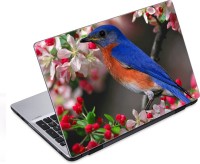 ezyPRNT Humming Bird (14 to 14.9 inch) Vinyl Laptop Decal 14   Laptop Accessories  (ezyPRNT)