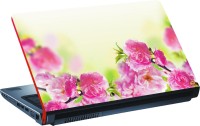 View DSPBAZAR DSP BAZAR 10898 Vinyl Laptop Decal 15.6 Laptop Accessories Price Online(DSPBAZAR)