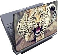 Finest Angry Leopard Vinyl Laptop Decal 15.6   Laptop Accessories  (Finest)