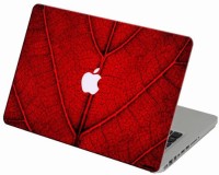 Theskinmantra Nature In Zoom Mode Macbook 3m Bubble Free Vinyl Laptop Decal 11   Laptop Accessories  (Theskinmantra)