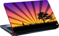 Dspbazar DSP BAZAR 4130 Vinyl Laptop Decal 15.6   Laptop Accessories  (DSPBAZAR)