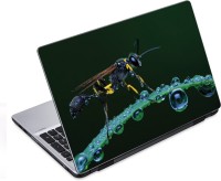 ezyPRNT Magnified view of Housefly (14 to 14.9 inch) Vinyl Laptop Decal 14   Laptop Accessories  (ezyPRNT)