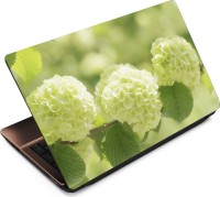 Finest Flower FL37 Vinyl Laptop Decal 15.6   Laptop Accessories  (Finest)