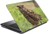 meSleep Wild life SkinLS-33-381 Vinyl Laptop Decal 15.6   Laptop Accessories  (meSleep)