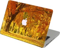 Theskinmantra Winter Forest Vinyl Laptop Decal 11   Laptop Accessories  (Theskinmantra)