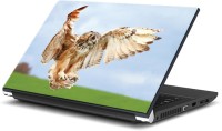 ezyPRNT Eagle Flying (14 to 14.9 inch) Vinyl Laptop Decal 14   Laptop Accessories  (ezyPRNT)