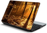 View ezyPRNT Forest Vinyl Laptop Decal 15.6 Laptop Accessories Price Online(ezyPRNT)
