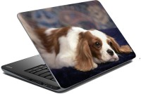 View meSleep Dog LS-57-038 Vinyl Laptop Decal 15.6 Laptop Accessories Price Online(meSleep)