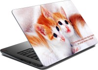 meSleep Kittens Vinyl Laptop Decal 15.6   Laptop Accessories  (meSleep)