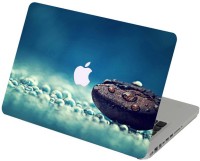 Swagsutra Swagsutra Coffee Bean Laptop Skin/Decal For MacBook Air 13 Vinyl Laptop Decal 13   Laptop Accessories  (Swagsutra)