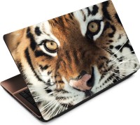 View Anweshas Tiger T078 Vinyl Laptop Decal 15.6 Laptop Accessories Price Online(Anweshas)