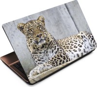 View Anweshas Leopard LP021 Vinyl Laptop Decal 15.6 Laptop Accessories Price Online(Anweshas)