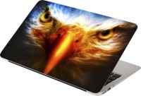 View Anweshas Eagle Vinyl Laptop Decal 15.6 Laptop Accessories Price Online(Anweshas)