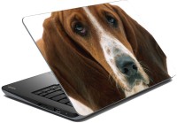 meSleep Dog LS-57-090 Vinyl Laptop Decal 15.6   Laptop Accessories  (meSleep)