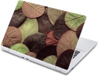 ezyPRNT Different Colored Leaves (13 to 13.9 inch) Vinyl Laptop Decal 13   Laptop Accessories  (ezyPRNT)