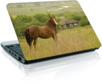 Shopmania Horse Vinyl Laptop Decal 15.6   Laptop Accessories  (Shopmania)