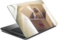 meSleep Cat 70-608 Vinyl Laptop Decal 15.6   Laptop Accessories  (meSleep)