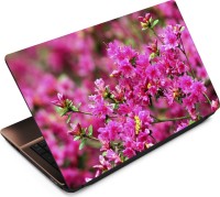 View Finest Flower FL04 Vinyl Laptop Decal 15.6 Laptop Accessories Price Online(Finest)