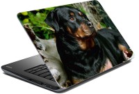 meSleep Dog LS-57-012 Vinyl Laptop Decal 15.6   Laptop Accessories  (meSleep)
