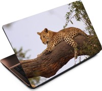 Anweshas Leopard LP067 Vinyl Laptop Decal 15.6   Laptop Accessories  (Anweshas)