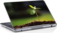 Sai Enterprises tree plant vinyl Laptop Decal 15.6   Laptop Accessories  (Sai Enterprises)