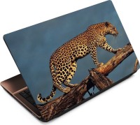 View Anweshas Leopard LP050 Vinyl Laptop Decal 15.6 Laptop Accessories Price Online(Anweshas)