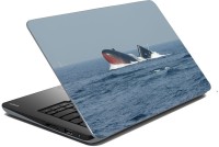 meSleep Ship LS-59-499 Vinyl Laptop Decal 15.6   Laptop Accessories  (meSleep)