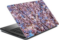 meSleep Flower LS-52-245 Vinyl Laptop Decal 15.6   Laptop Accessories  (meSleep)