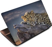 Anweshas Leopard LP074 Vinyl Laptop Decal 15.6   Laptop Accessories  (Anweshas)
