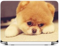 FineArts Puppy On Carpet Vinyl Laptop Decal 15.6   Laptop Accessories  (FineArts)