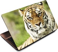 Anweshas Tiger T027 Vinyl Laptop Decal 15.6   Laptop Accessories  (Anweshas)