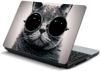 ezyPRNT Cat wearing Glasses Vinyl Laptop Decal 15.6   Laptop Accessories  (ezyPRNT)