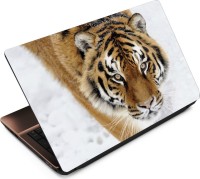 View Anweshas Tiger T082 Vinyl Laptop Decal 15.6 Laptop Accessories Price Online(Anweshas)
