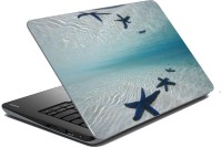 meSleep Star Fish 70-741 Vinyl Laptop Decal 15.6   Laptop Accessories  (meSleep)