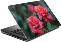 meSleep Floral LS-73-143 Vinyl Laptop Decal 15.6   Laptop Accessories  (meSleep)