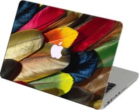 Theskinmantra Colorful feathers Vinyl Laptop Decal 13   Laptop Accessories  (Theskinmantra)