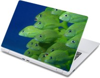 ezyPRNT The Fish MarchPast Aquatic (13 to 13.9 inch) Vinyl Laptop Decal 13   Laptop Accessories  (ezyPRNT)
