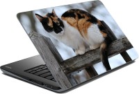meSleep Cats LS-28-052 Vinyl Laptop Decal 15.6   Laptop Accessories  (meSleep)